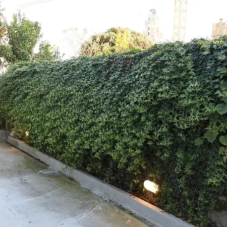 Gasthuis Almada Charm & 4*